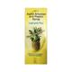 Lupizyme Plus Pineapple Flavour Syrup 100ml - Digestion-Dig