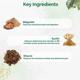 Dr. Vaidya's Grahyavati Pills (Pack of 3 x 24's) - Speciality Medicines