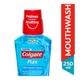 Colgate Plax Mouthwash - Peppermint 250 ml - Mouthwash