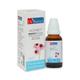 Dr. Batra's Homeo+ Immunity Medicine Oral Drops 30 ml - Homeopathic Drops