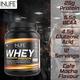 Inlife Whey Protein Powder - Cafe Mocha 400 gm - Whey Proteins