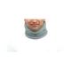 P+caRe Cervical Collar Support (A1004) (L) - Abdomen/Neck/Arm/Elbow Supports