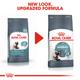 Royal Canin Hairball Care Adult Dry Cat Food 2 kg - Petfood