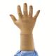 Ansell Encore Latex Micro Powder Free Surgical Gloves Pair (6.5) 50's - Gloves - S