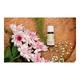 House of Aroma Essential Oil - Rosemary 10 ml - Essential Oils