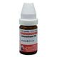 Dr. Willmar Schwabe Adrenalinum 200 CH Drops 10 ml - Homeopathic Drops