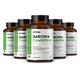 Nirvasa Garcinia Cambogia 800mg Tablet (Pack of 5 x 60's) 1's - Herbal Dietary Supplement