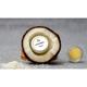 Body Cafe Coconut Lip Balm 10 gm - Lip Balms