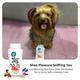 Capt. Zack Shea Pleasure Sniffing You Shampoo With Oat Extract 200 ml - Pet Healthcare
