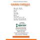 Ayursun Gajraj Capsule 10's - Speciality Medicines