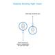 Swiss Image Elasticity Boosting Night Cream 50 ml - Night Cream