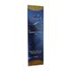 DAN SHINE Lotion 150ml - Fungal Infections-Taa