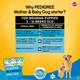Pedigree Mother & Babydog Starter Nutri Defence with Milk 3000 gm - Petfood