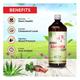 Swadeshi Ayurved Arjun Aloevera Ras Tonic 500 ml - Ayurvedic Juices