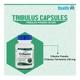HealthVit Tribulus 250 mg Capsule 60's - Sexual Care