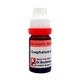 Dr. Reckeweg Gnaphalium Polycephalum CM Liquid 11 ml - Dilutions