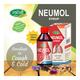 Swadeshi Ayurved Neumol Syrup 200 ml - Speciality Medicines