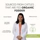 Kapiva Organic Cow Ghee 500 ml - Health Products