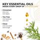 Core & Pure Natural Disinfectant Oil 12 ml - Essential Oils