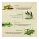 Bioayurveda Anti-Acne Moisturiser Face Creme 60 gm - Face Creams