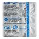 CAL UP Tablet 15's - Supplements-Vam