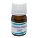 Boiron Cocculus Indicaus 200C Liquid 20 ml - Dilutions