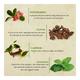 Bioayurveda Basics Muscle Pain Relief Balm 60 gm - Balm/Ointments