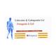 FEMGESIC L Gel 30gm - General-P