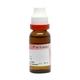 Dr. Reckeweg Cina Ø Liquid 20 ml - Mother Tincture
