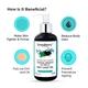 Greenberry Organics Body Wash Gel - Activated Charcoal, Spearmint & Tea Tree Oil 200 ml - Shower Gels & Body Wash