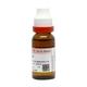 Dr. Reckeweg Hamamelis Virginica Q Liquid 20 ml - Mother Tincture