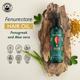 Manestream FenuRestore Hair Oil - Fenugreek & Aloevera 100 ml - Hair Oils