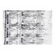 NERVIC PLUS Tablet 15's - Supplements-Vam