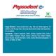 Pepsodent Whitening Germicheck Toothpaste 80 gm - Toothpaste