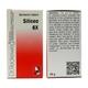 Dr. Reckeweg Silicea 6X Tablet 20 gm - Bio-Chemic