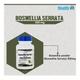 HealthVit Boswellia Serrata 500 mg Capsule 60's - Herbal Dietary Supplement