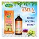 Swadeshi Ayurved Kesari Amla Ras Juice 500 ml - Ayurvedic Juices