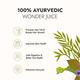 Kapiva Wild Amla Juice 1 ltr - Speciality Medicines