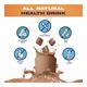 Gritzo SuperMilk Kids Nutrition Drink Powder (13+ yrs) - Double Chocolate 400gm - Nutritional Supplement