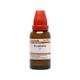Dr.Willmar Schwabe Bryophyllum Ø Liquid 30 ml - Mother Tincture