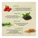 Bioayurveda Basics Nourishing Lift Night Face Creme 120 gm - Night Cream