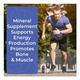 Boldfit Magnesium 340 mg Tablet 60's - Calcium And Minerals