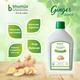 Bhumija Lifesciences Ginger Juice 1 litre - Ayurvedic Juices