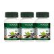 Vogue Wellness Giloy Tablet (Pack of 3 x 60's) - Giloy