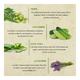 Bioayurveda Basics Purifying Miracle Face Wash 500 gm - Face Wash & Cleansers