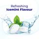NicoSure Nicotine 2 mg Sugar Free Lozenges - Ice mint Flavour 8's - Nicotine Gums/Lozenges