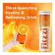 Fitzzi Amla Extract Vitamin-C & Zinc Effervescent Tablet 20's - Vitamin C