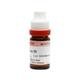 Dr. Reckeweg Rumex Crispus 30 Liquid 11 ml - Dilutions