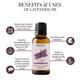 Essentia Extracts Pure Essential Oil Combo (Lavender 15 ml + Tea Tree 15 ml + Ylang Ylang 15 ml) 1 ml - Essential Oils