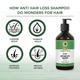 Organic Veda Raise Anti Hair Loss Shampoo 473 ml - Personal Care (Ayush)
